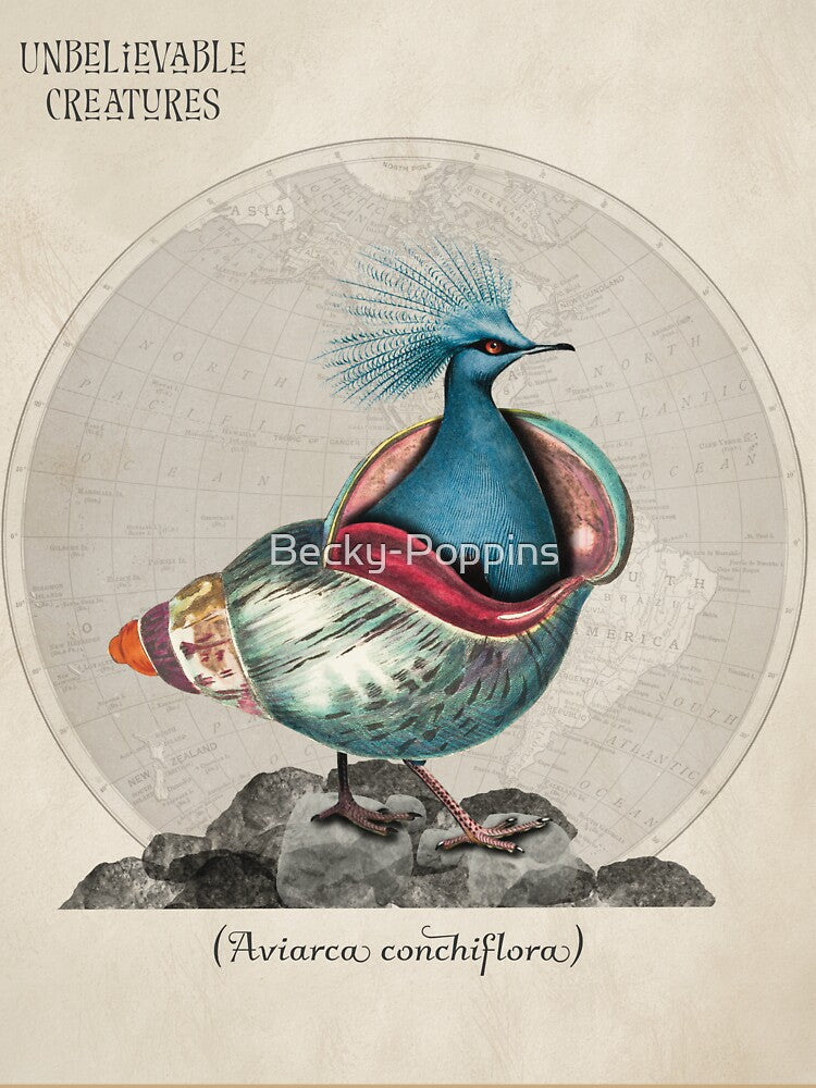 Aviarca Conchiflora | Surreal Bird Shell Collage Creature by Becky-Poppins