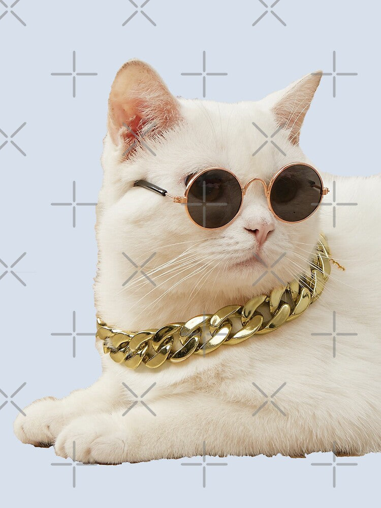 Cool Pet Necklace & Sunglasses by Brendaallen  Art