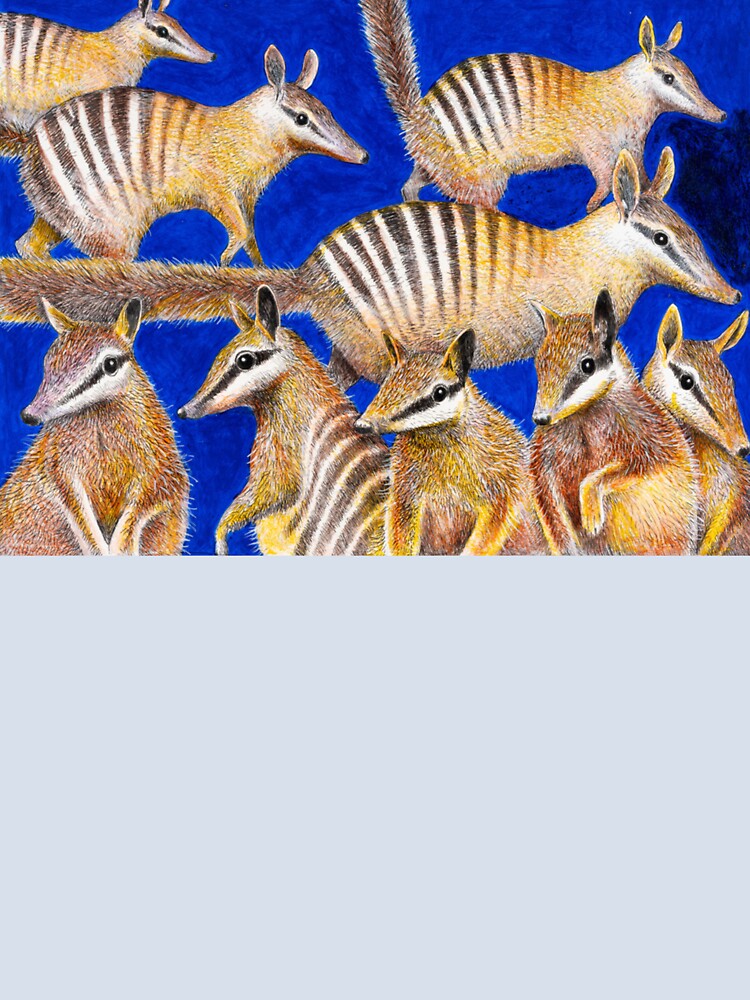 Numbats by BackyardsforBiodiversity  SEQ Inc
