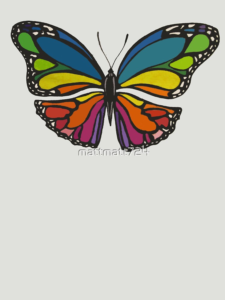Colourful Butterfly by mattmatt724