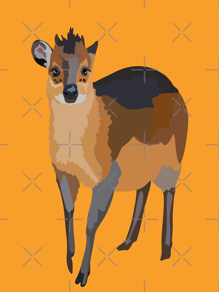 R is for Red Flanked Duiker, Red Flanked Duiker – Small African Antelope Wildlife Illustration by PrettylittlepastelUk