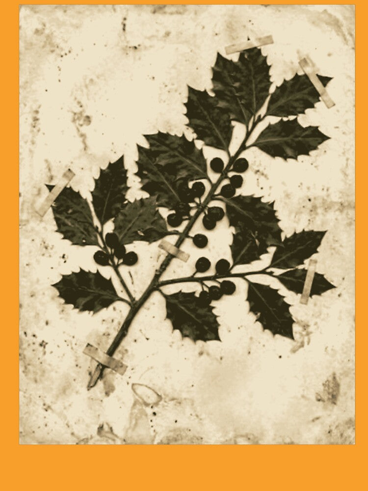 Vintage Holly Botanical Press by MythosBotany