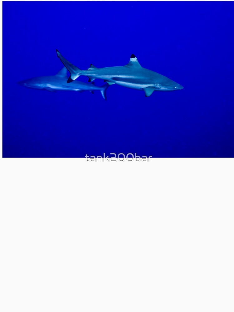Guardian Sharks in the blue ocean by tank200bar