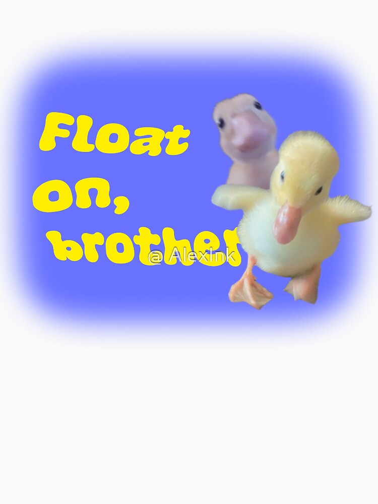 Float on brother. - Duck meme by @ AlexInk
