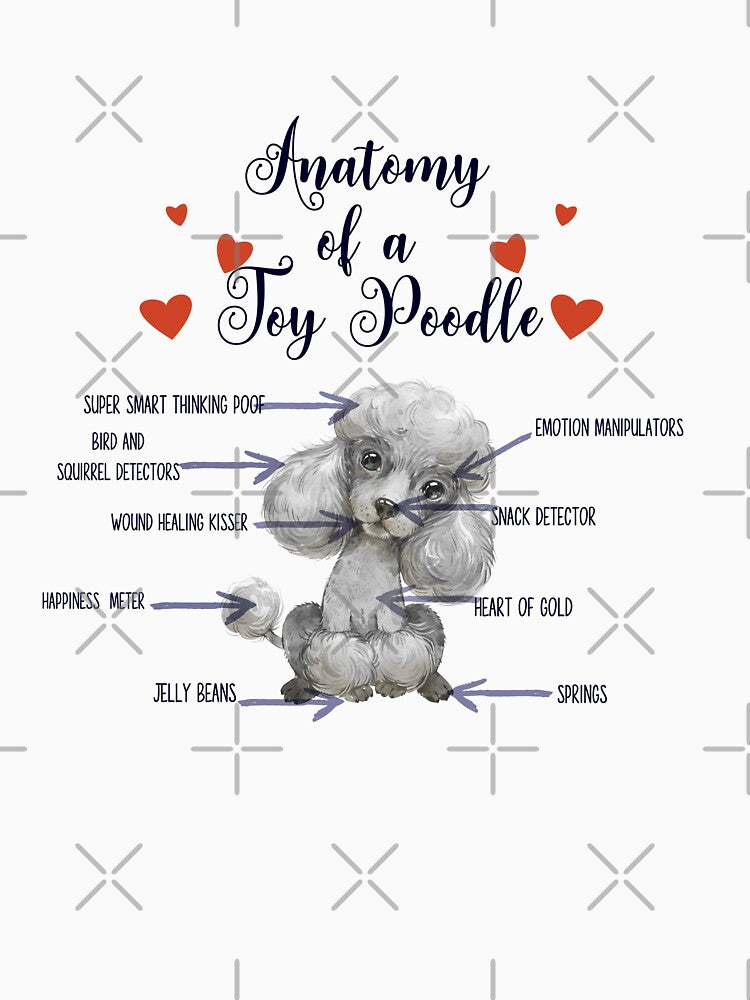 Anatomy of a toy poodle- silver toy by Mumzy2many