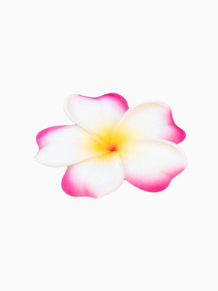 aesthetic tropical hibiscus flower by xoxo,  hannah