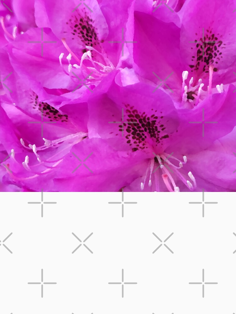 Rhododendron Dream 527 A by DreamDave3000