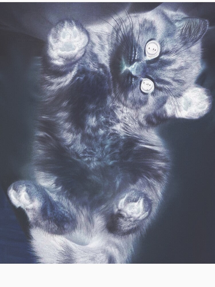 Surreal Button-Eyed Cat – Dreamlike Inverted Kitty Art by Небесный котенок