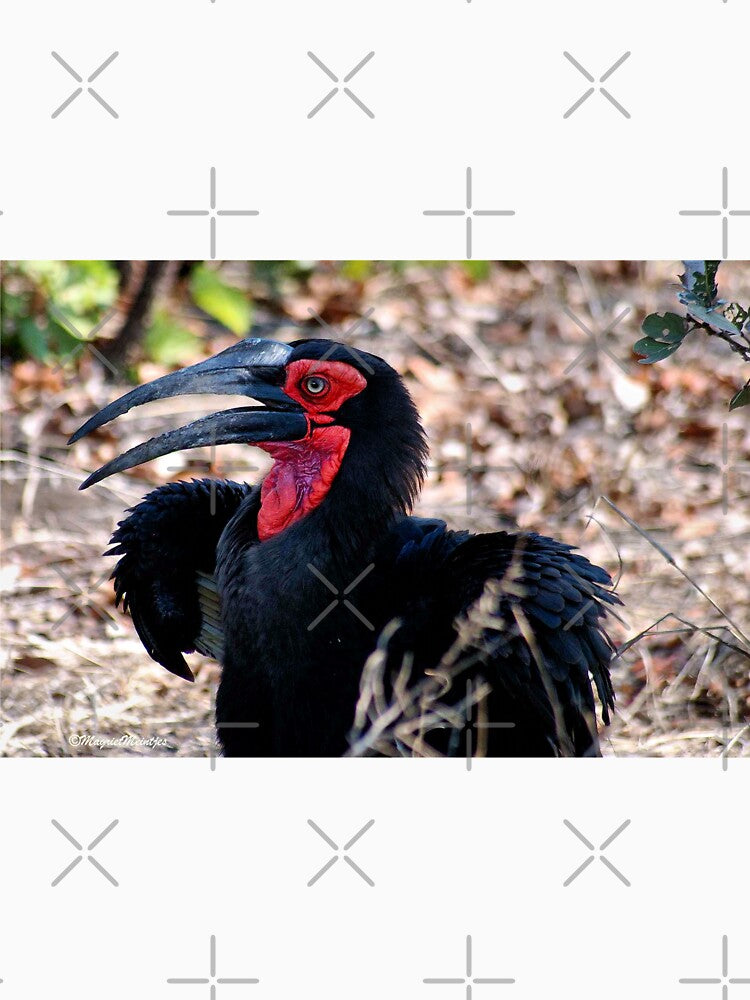THE SOUTHERN GROUND HORNBILL by Magriet Meintjes
