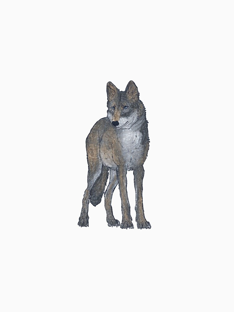 Wolf by Paytowin