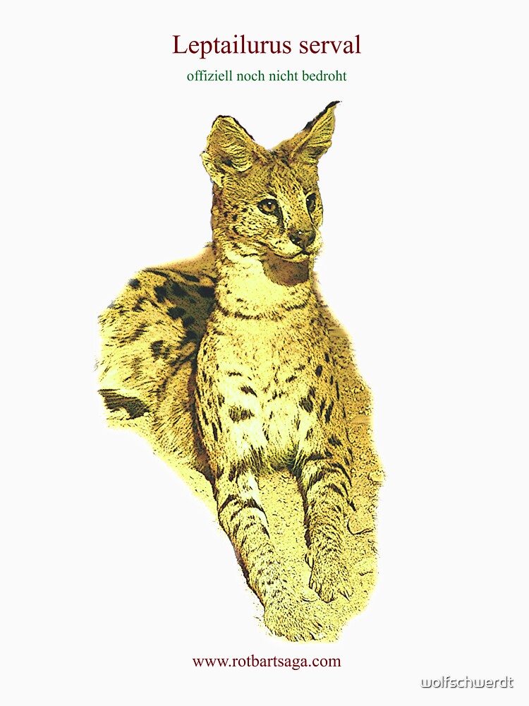 Rotbart's wild relatives - Serval by wolfschwerdt
