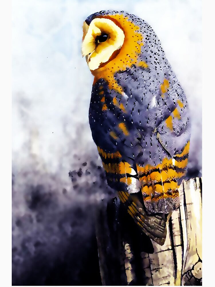 Barn Owl by Island Art Studios