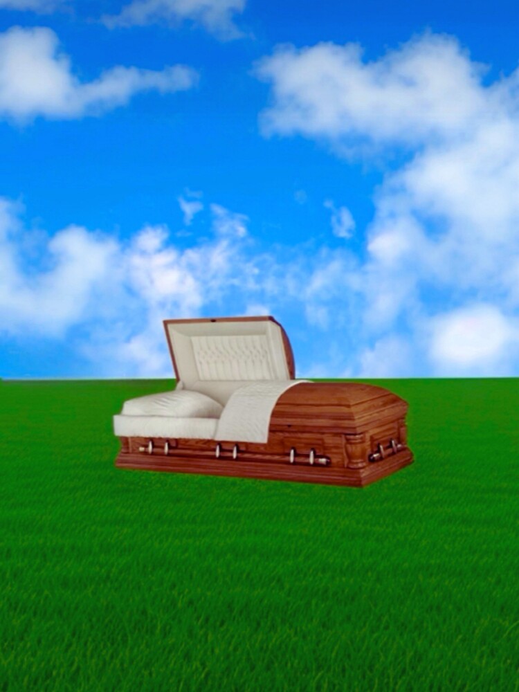 Dreamcore Casket by SuperdelicPsy