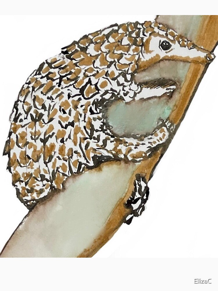 Pangolin by ElizaC
