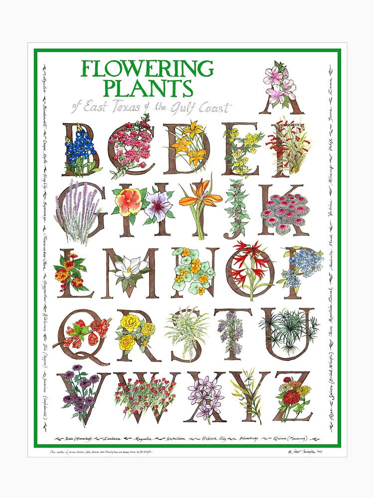 Flowering Plants A to Z Design by Bob Carington by artmythica