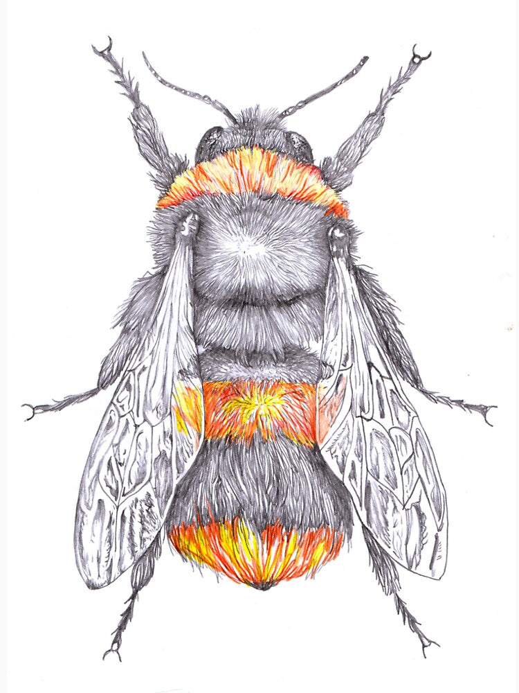 Busy Bumble Bee by chloenicart