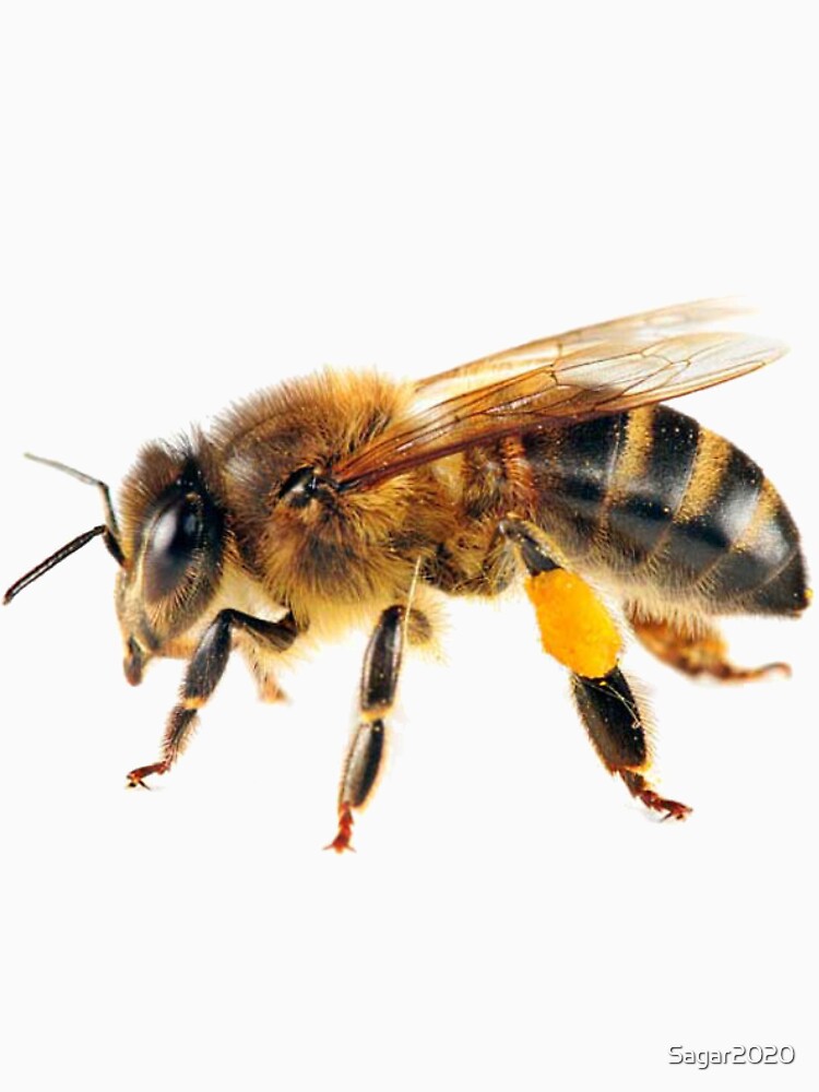 Copy of bees stickers by Sagar2020