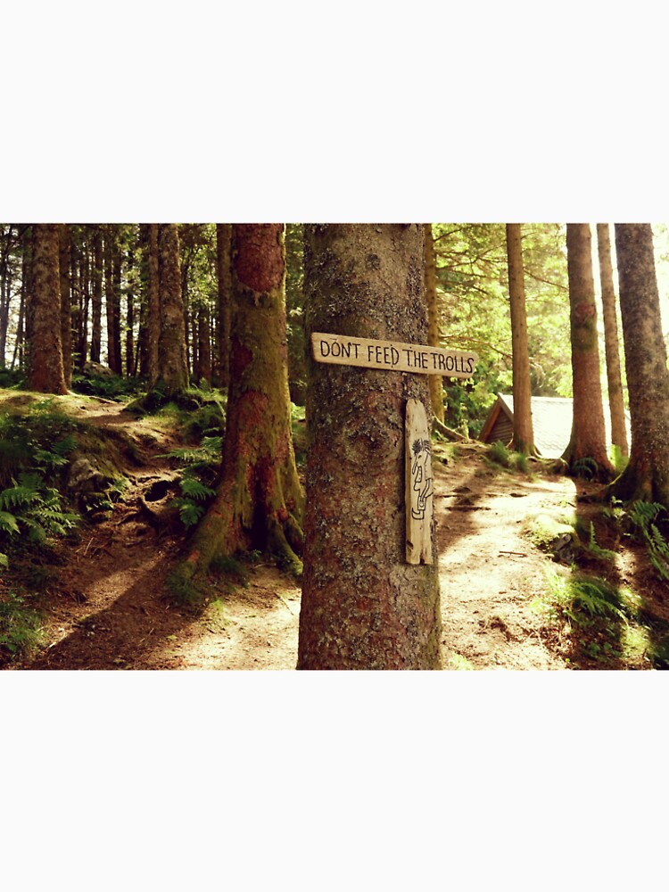 Forest of trolls in Norway by CarolinaReina