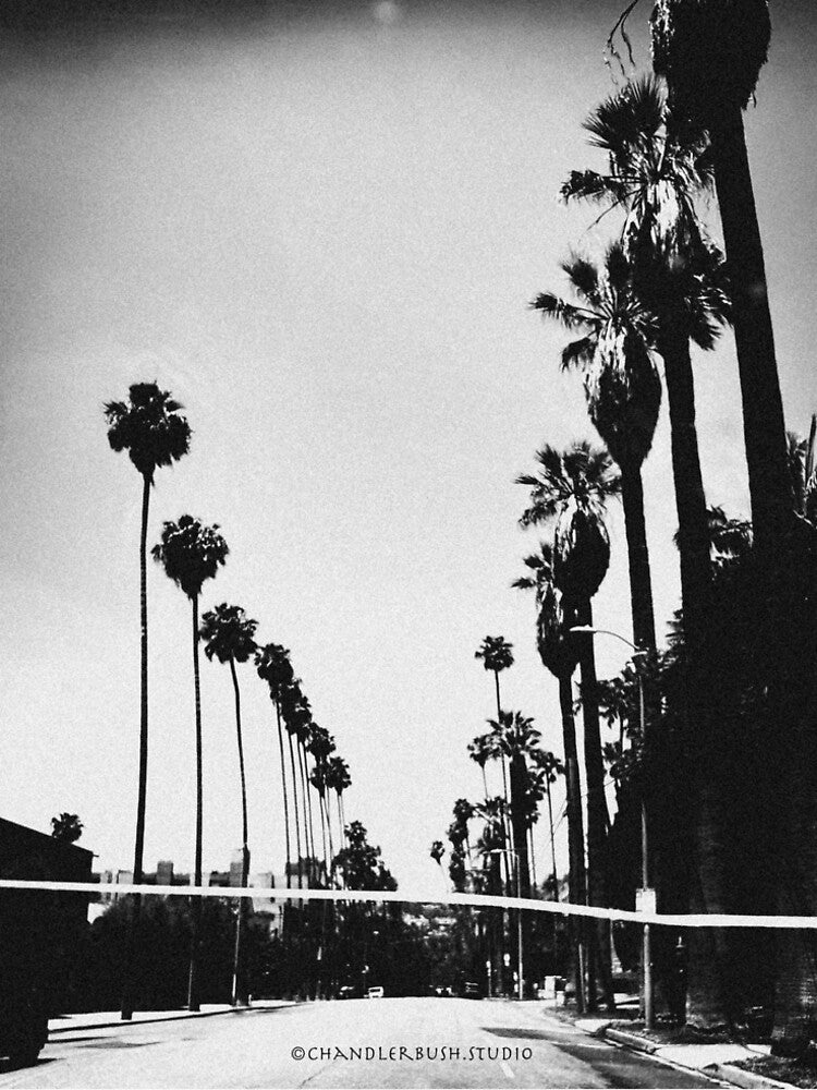 Suffragette Palms by Chandler Bush Studio
