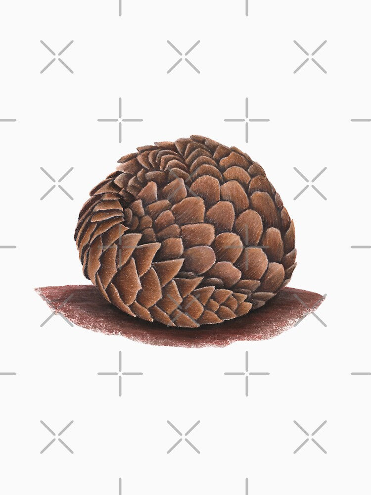 Pangolin in a ball by Chouetteplanete