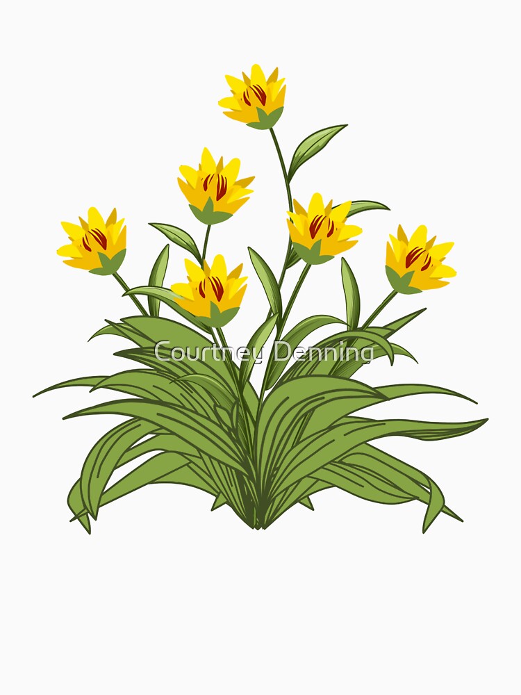 Lanceleaf Coreopsis by Bittersweet Gardener