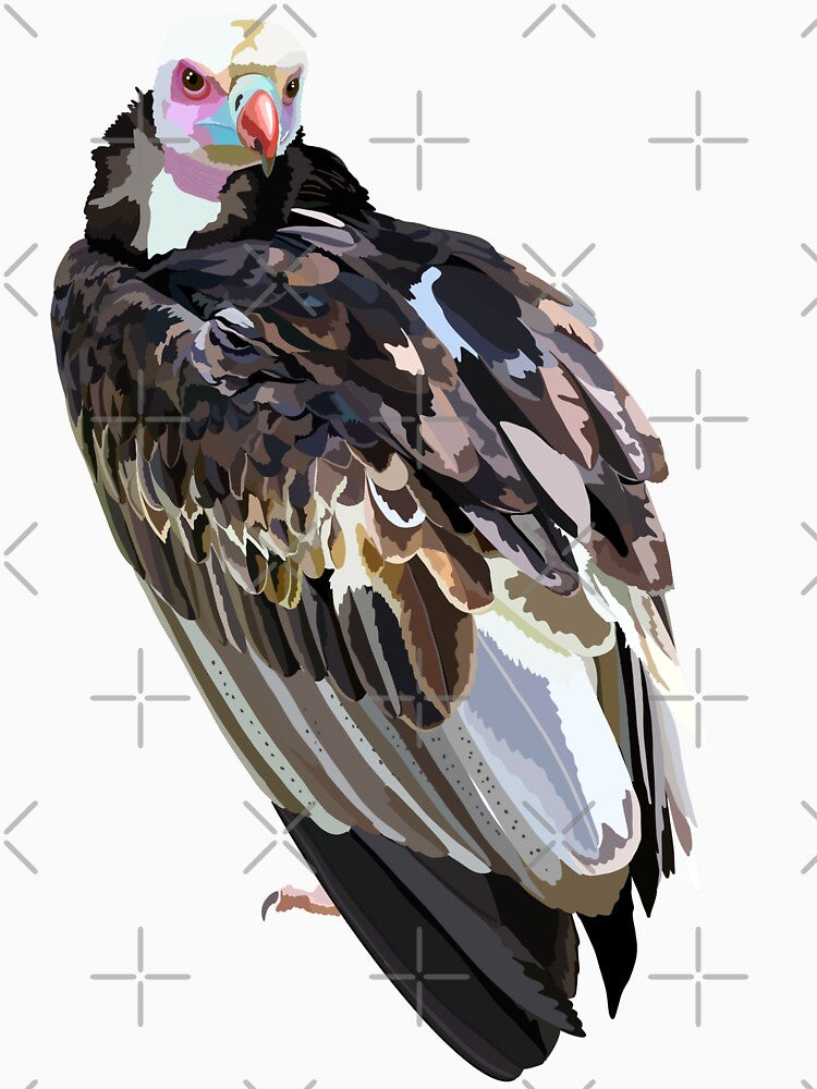 W is for White Headed Vulture, White-Headed Vulture Illustration – Striking African Scavenger Bird Wildlife Art by PrettylittlepastelUk