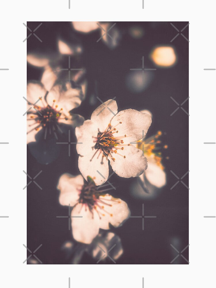Lo-fi Sakura by ElderIslesPress