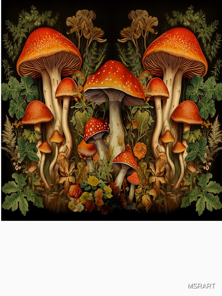 Cottage Core Mushroom by MSRART