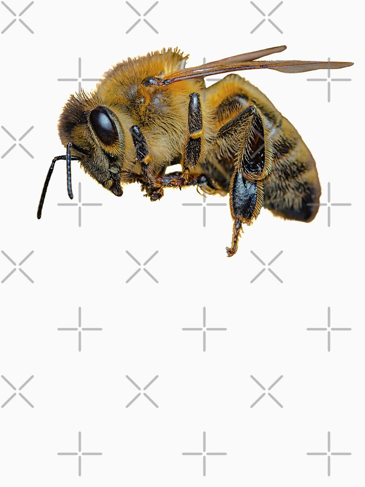 Bee Sticker by springerclipz