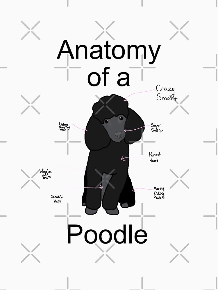 Anatomy of a Poodle by mcdouemm