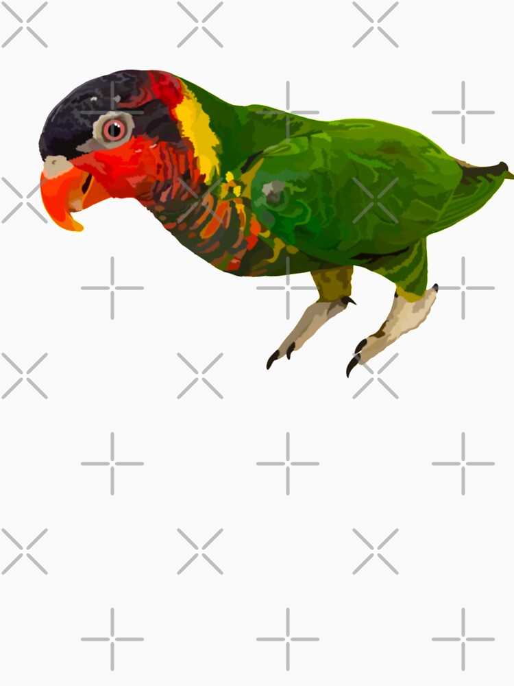 O is for Ornate Lorikeet,Ornate Lorikeet Artwork – Vibrant Parrot Illustration and Exotic Bird Design by PrettylittlepastelUk