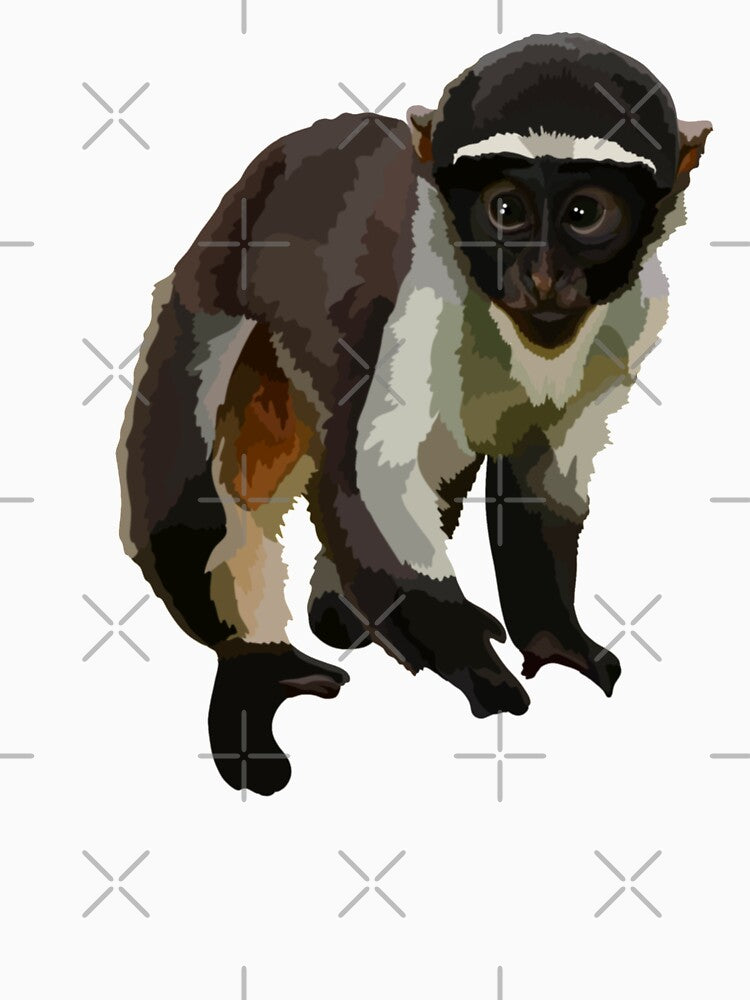 R is for Roloway Monkey,Roloway Monkey: The Rare and Endangered Primate of West Africa by PrettylittlepastelUk