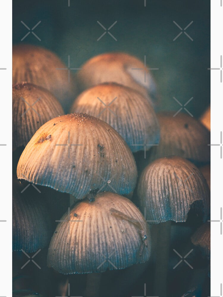 Woodland Inkcaps by ElderIslesPress