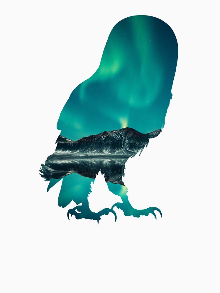 Owl - Northern Lights by kidvid