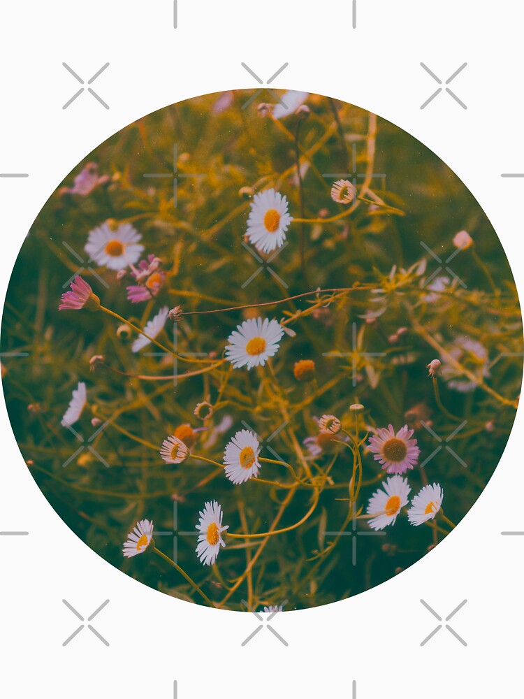 Daisy Tangle by ElderIslesPress
