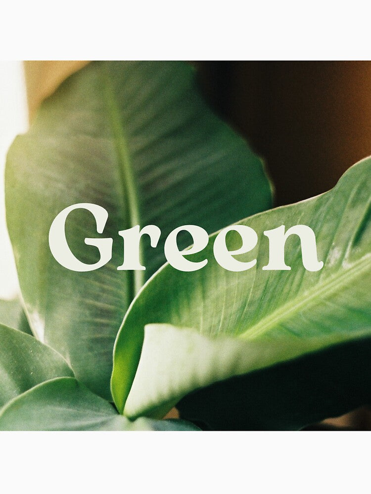 Banana Plant Green by Leaf & Layer