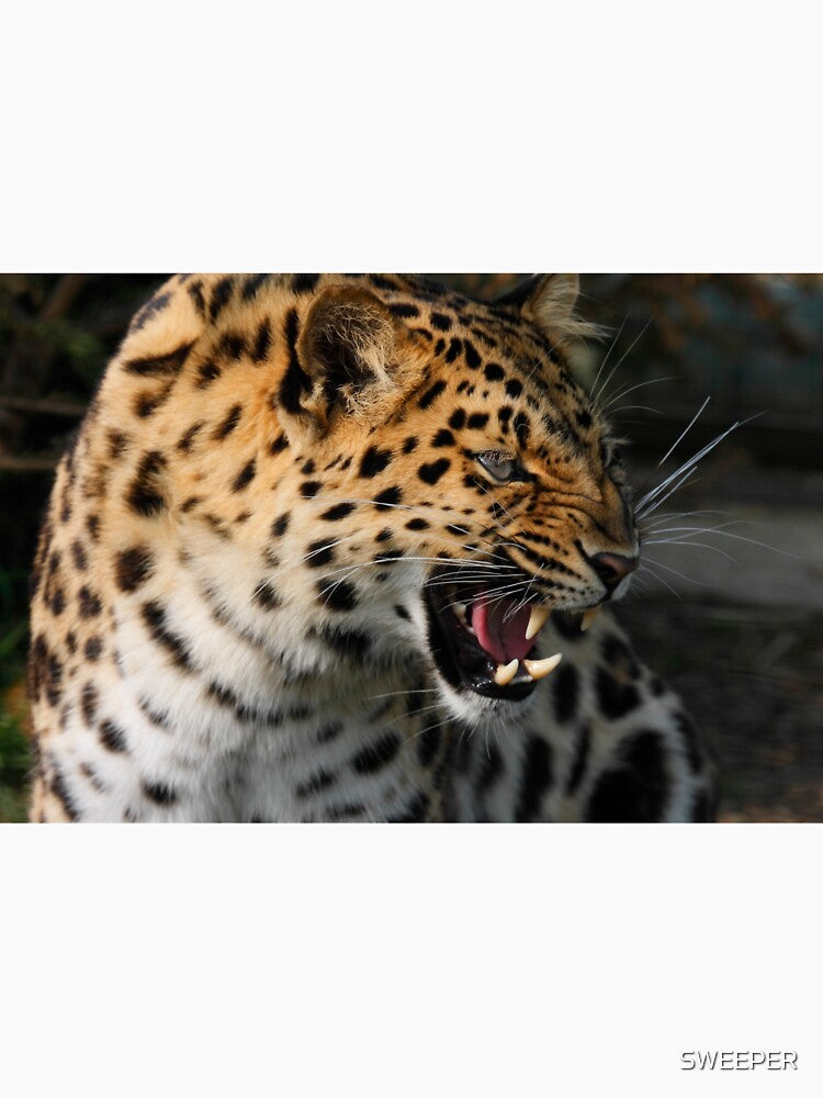 Angry Leopard by SWEEPER