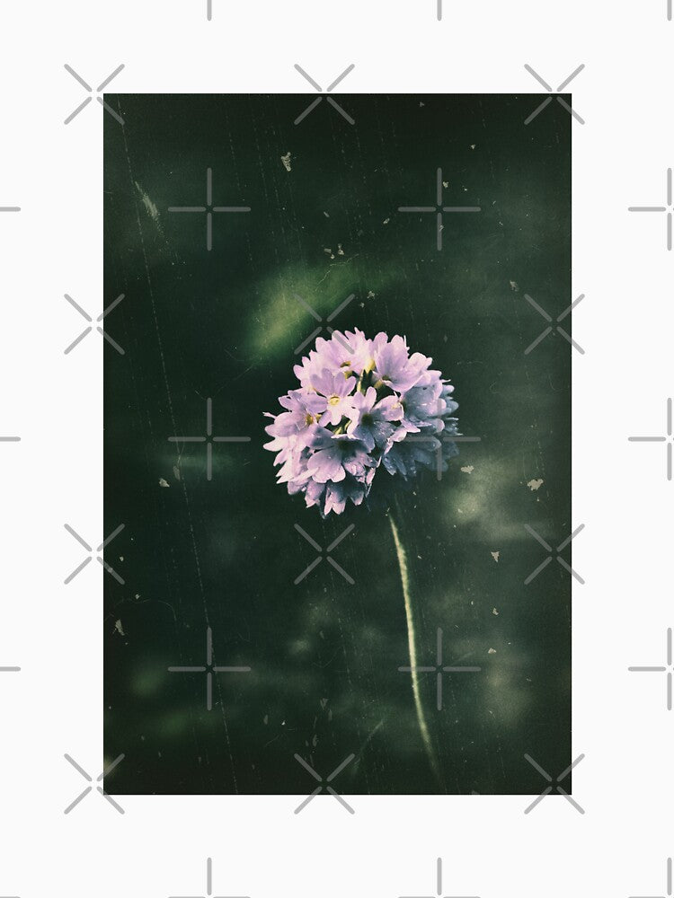 Vintage Primula by ElderIslesPress