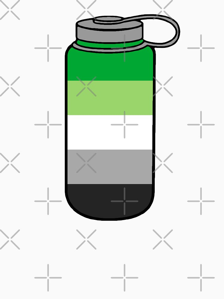 Aro Pride Nalgene Water Bottle by maura41