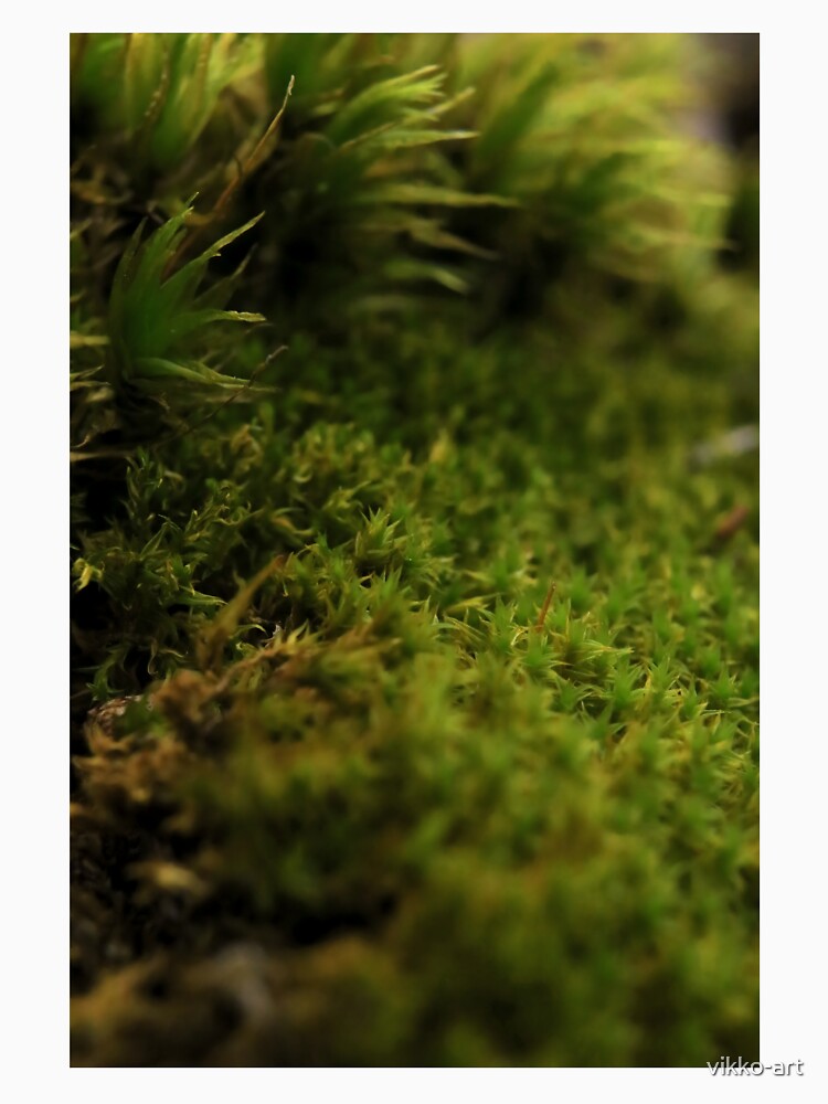 Forest Moss Texture Macro by vikko-art