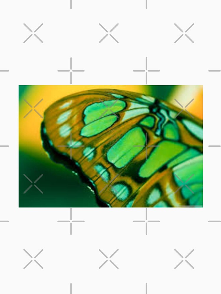 Best butterfly Wings Design by Sameer Shrivastava