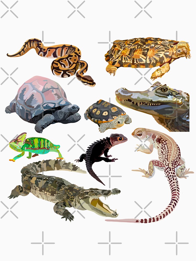 R is for Reptile. Reptile Artwork – Detailed Illustration and Wildlife Design of Exotic Reptiles by PrettylittlepastelUk