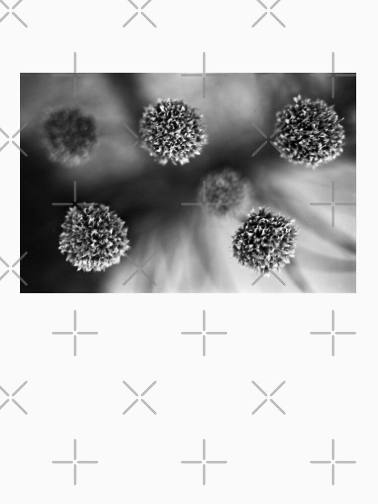 Artistic photo analogue photography flowers greyscale by fotopan