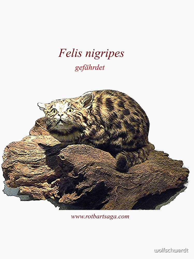 Rotbart's wild relatives - black-footed cat by wolfschwerdt