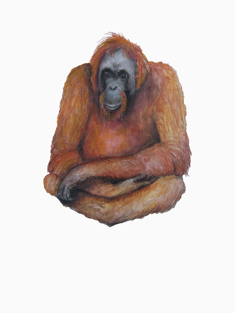 Wild Orangutan Drawing by hannahaiello