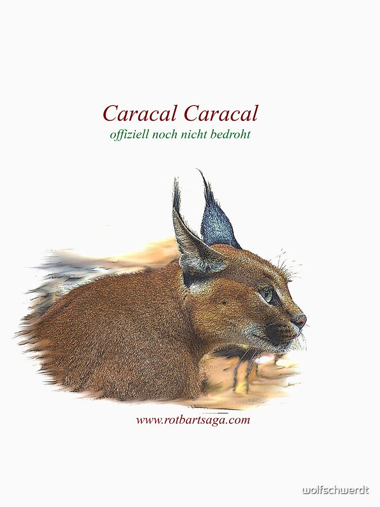 Rotbart's wild relatives - caracal by wolfschwerdt