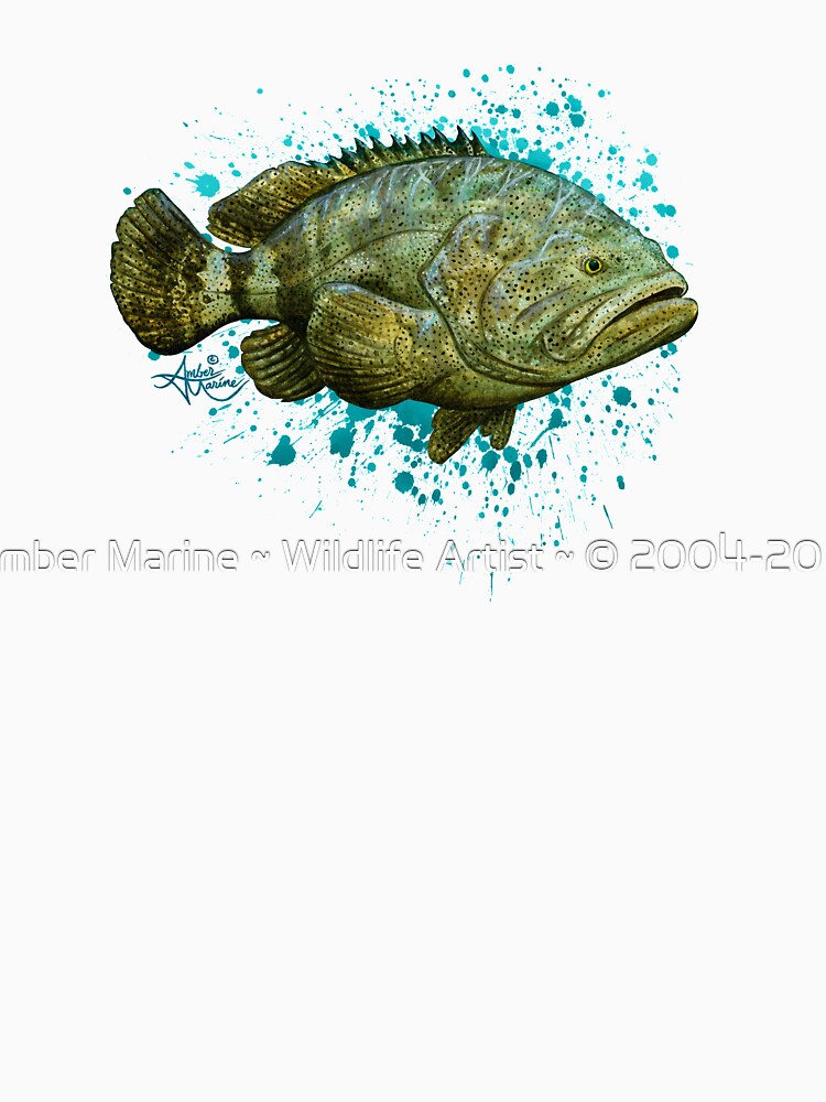 "Goliath Grouper" by Amber Marine ~ Watercolor painting, art © 2016 by Amber Marine ~ Wildlife Artist ~ © 2004-2021