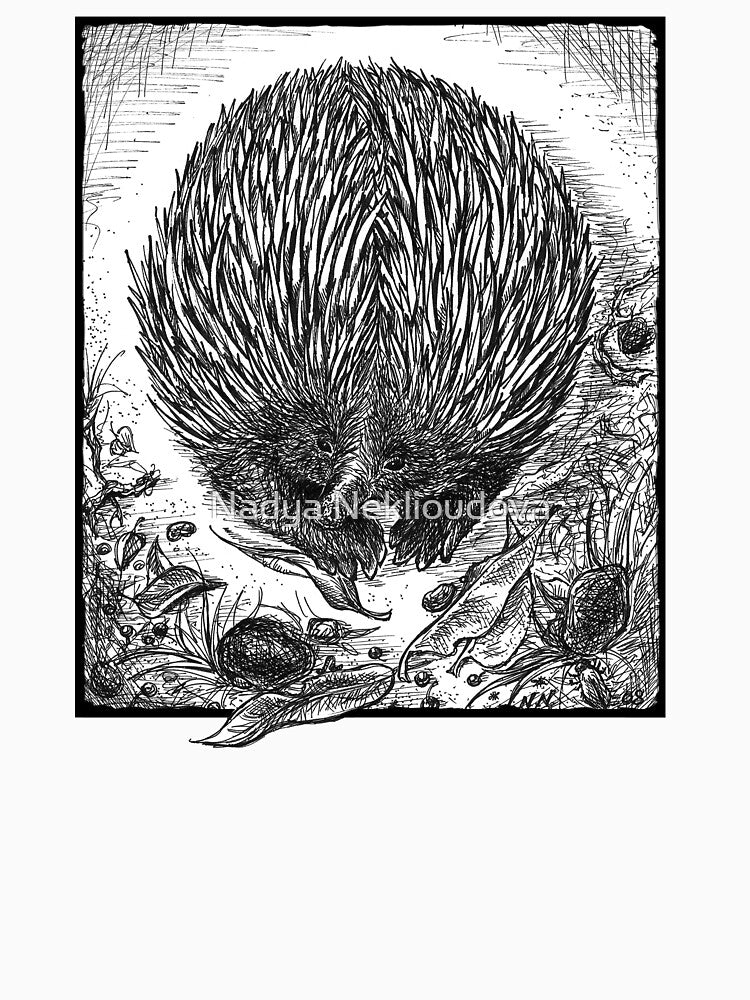 Echidna Ink Drawing by Nadya Neklioudova by Nadya Neklioudova