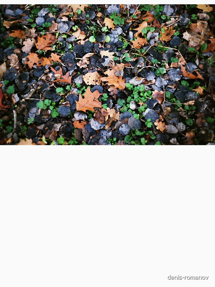 Blue Leaves by denis-romanov