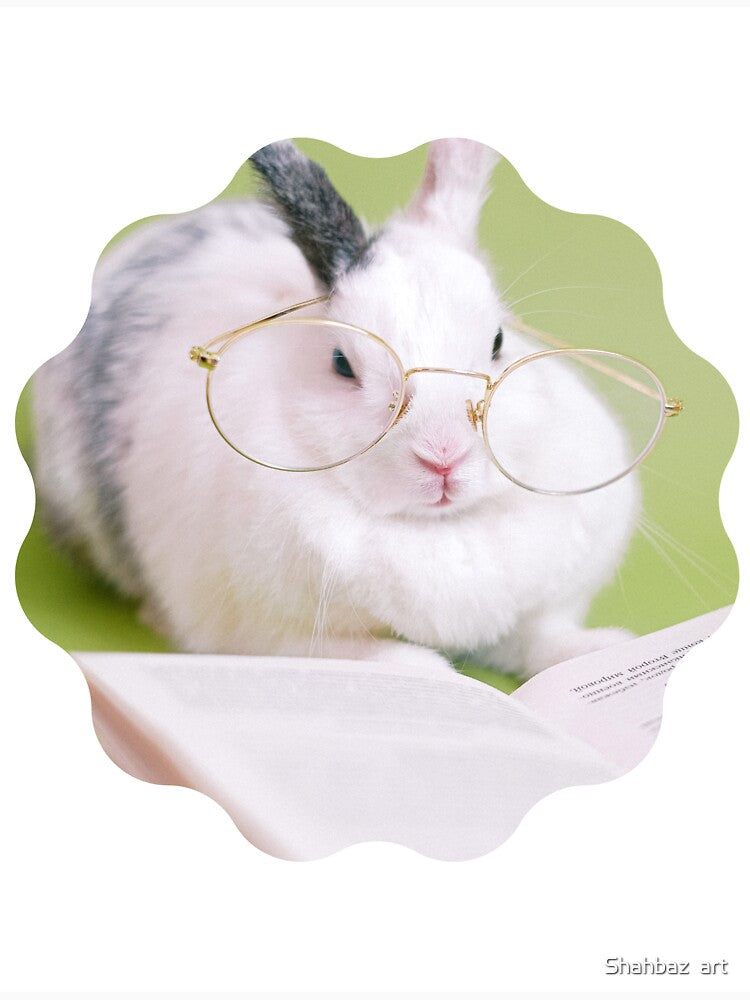 Lovely rabbit studying by Shahbaz  art